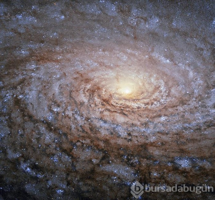 Yılın astronomi fotoğrafları