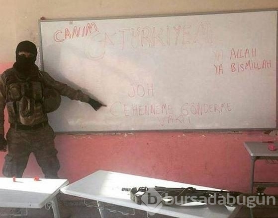 Devlet eğitimi