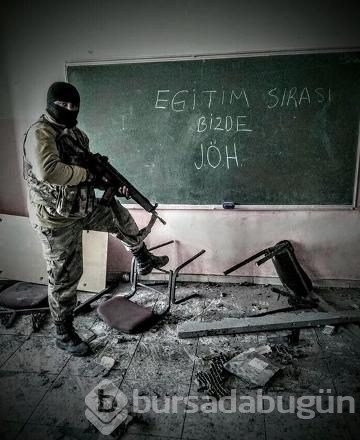 Devlet eğitimi