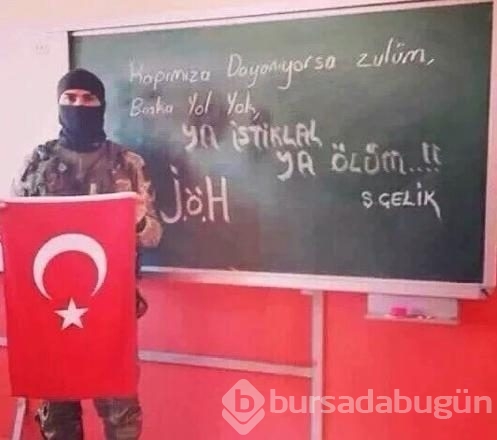 Devlet eğitimi