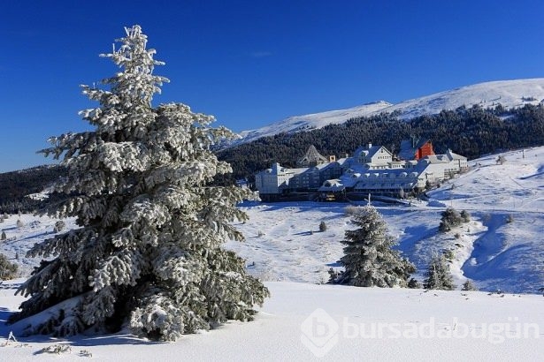 ''Bursa Ulu Şehir'' fotoğraf sergisi açıldı