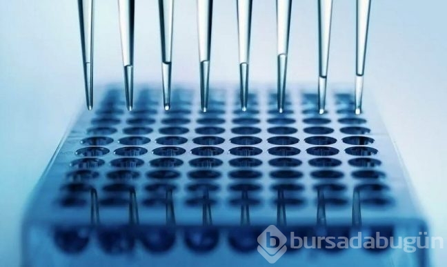 2015'de insanlığı ileri taşıyan 30 bilimsel gelişme 