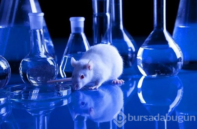 2015'de insanlığı ileri taşıyan 30 bilimsel gelişme 