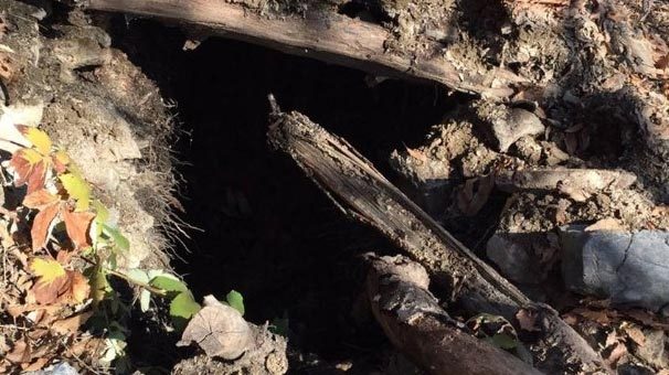 İşte o PKK'lıların sığınağı