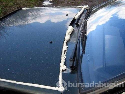 İntikamları acı oldu