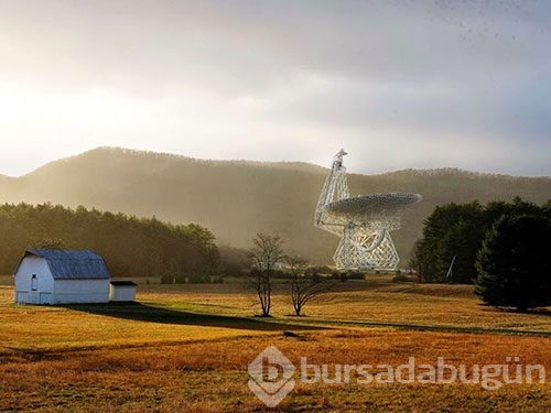 Burada cep telefonu, wireless ve mikrodalga yasak!
