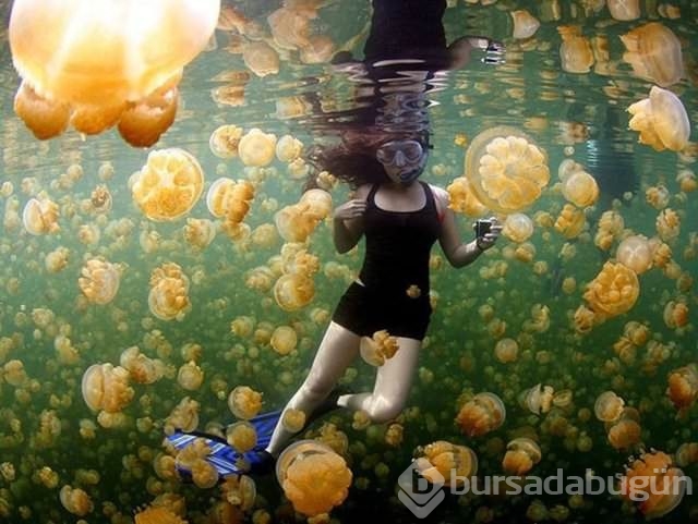 National Geographic en iyileri seçti	