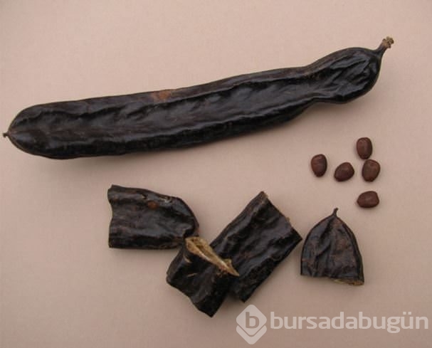 Keçiboynuzunun faydaları	