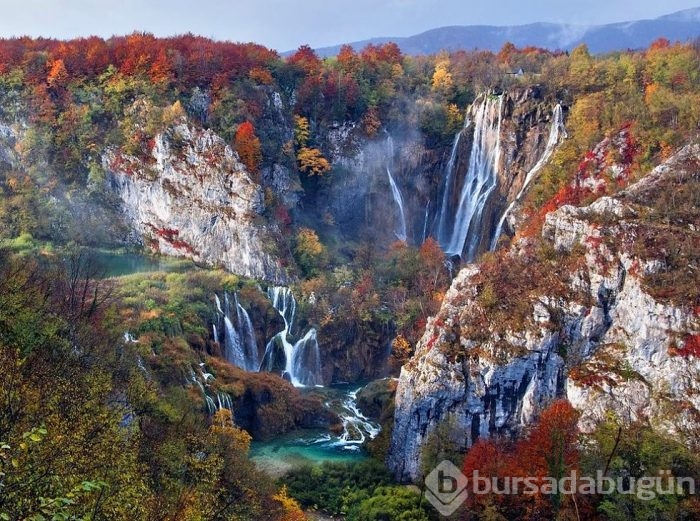 2015'in en iyi fotoğrafları