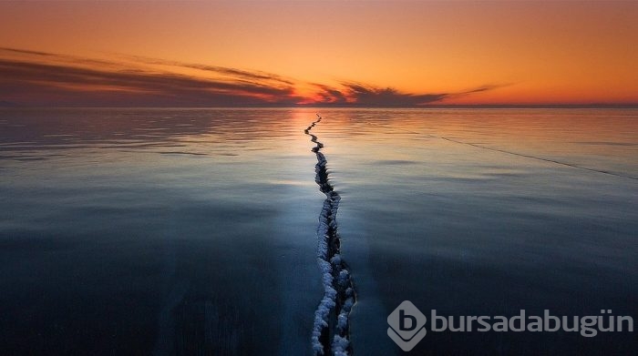 2015'in en iyi fotoğrafları
