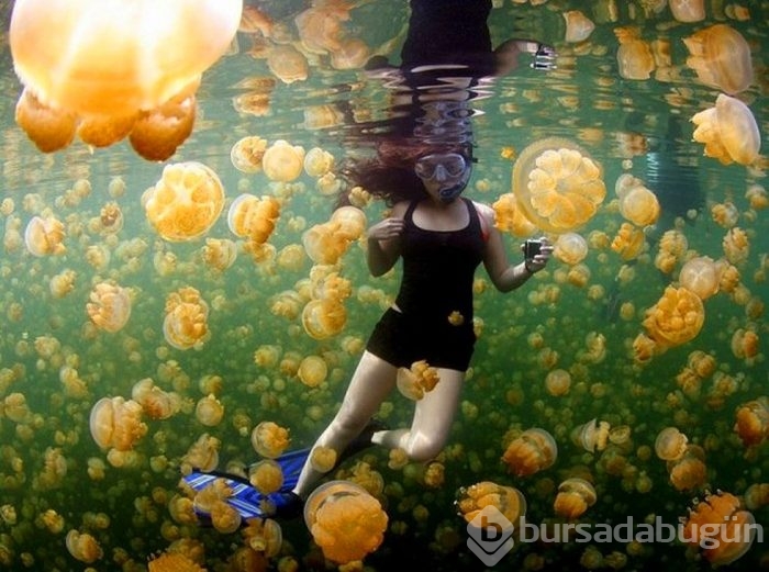 2015'in en iyi fotoğrafları
