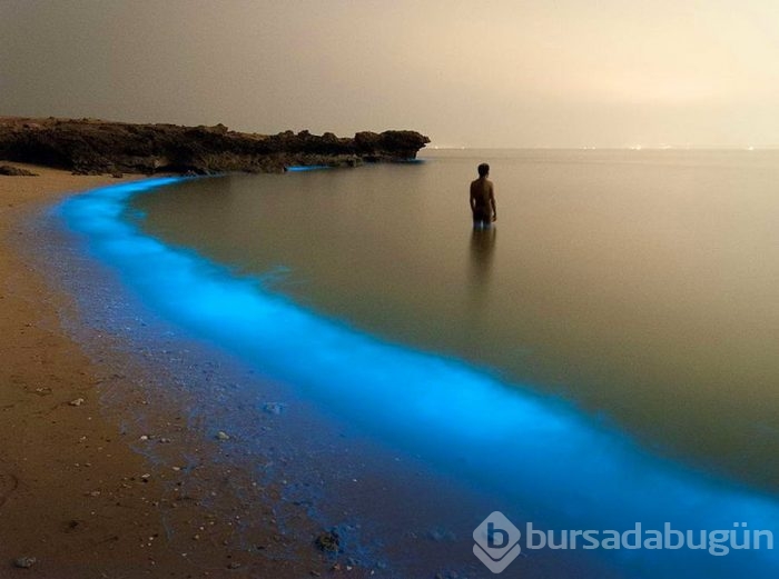 2015'in en iyi fotoğrafları