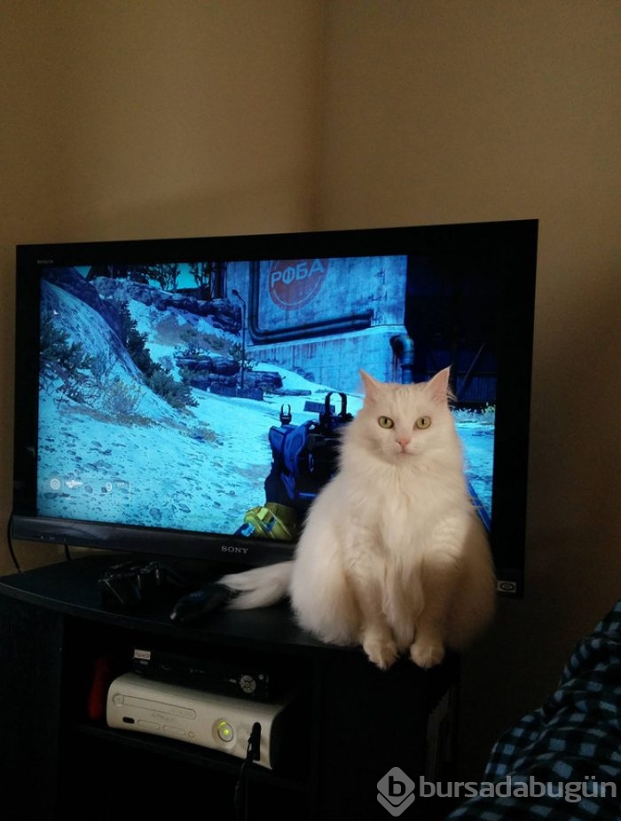 Fotoğrafa alınmayınca...
