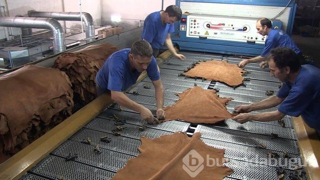 İşte sektör sektör ortalama maaşlar