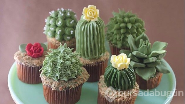'Yeme de yanında yat' türünden 24 cupcake