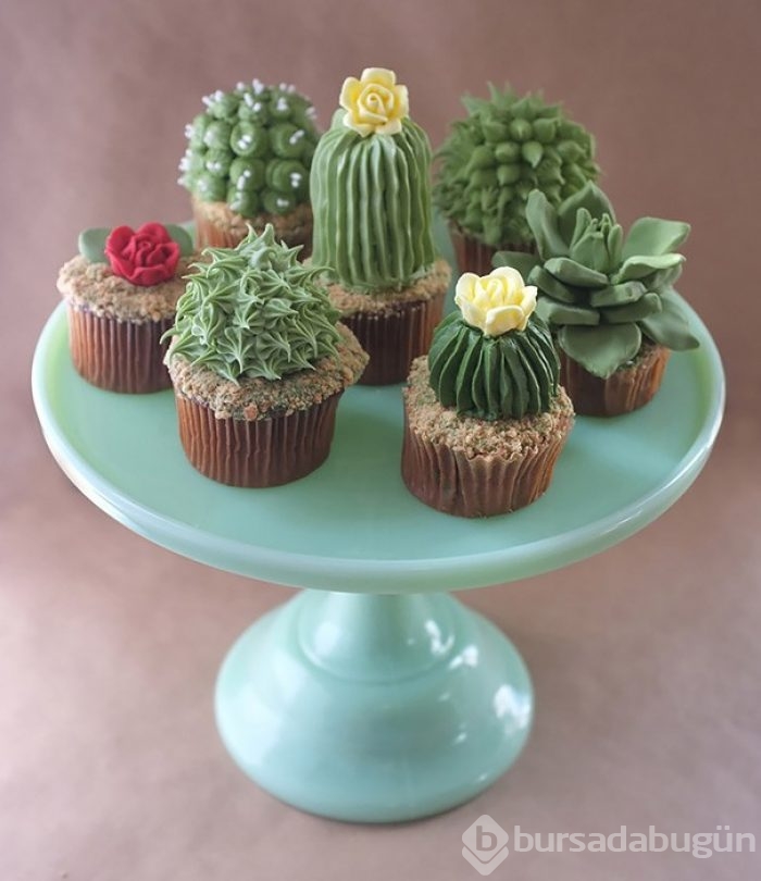 'Yeme de yanında yat' türünden 24 cupcake