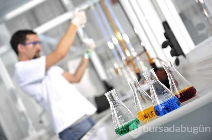 Okullardaki yeni salgın el ayak hastalığı	
