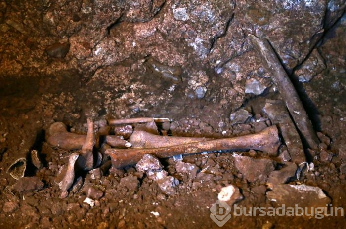 Mağarada kafatası ve kemik bulundu	
