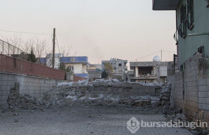 Silopi'de şeytanın bile aklına gelmeyecek tuzaklar 