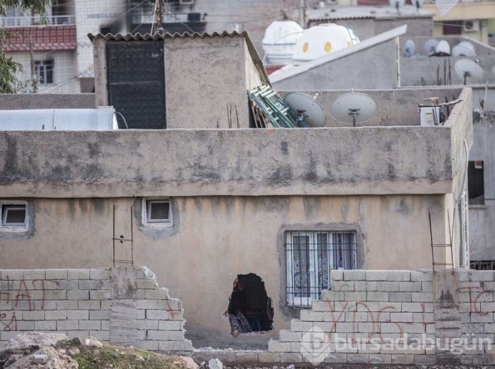 Silopi'de şeytanın bile aklına gelmeyecek tuzaklar 