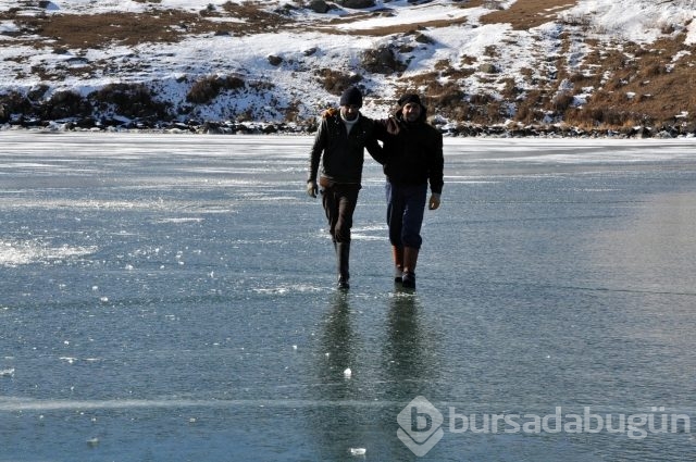 -20 derecede yaşam kavgası