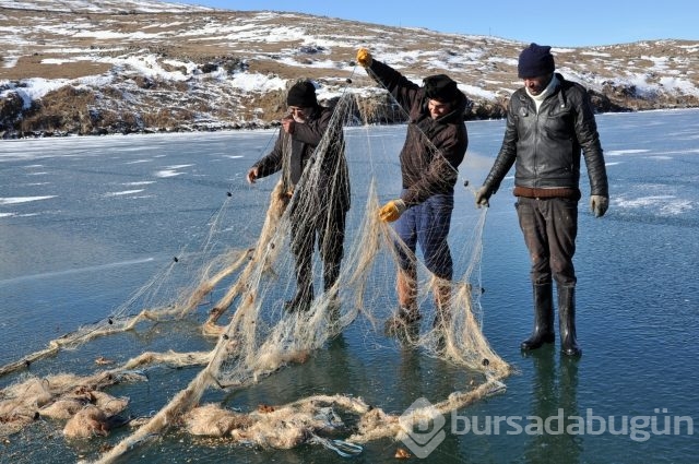 -20 derecede yaşam kavgası