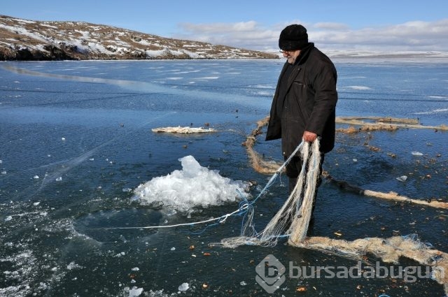 -20 derecede yaşam kavgası