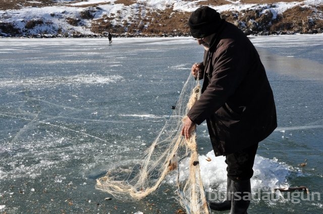 -20 derecede yaşam kavgası