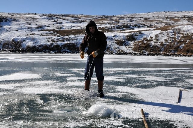 -20 derecede yaşam kavgası