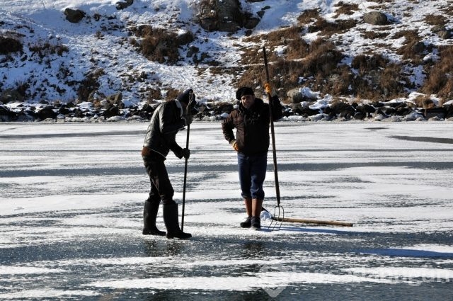 -20 derecede yaşam kavgası