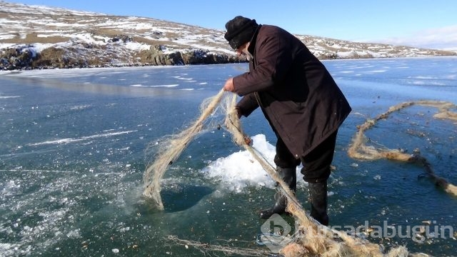 -20 derecede yaşam kavgası