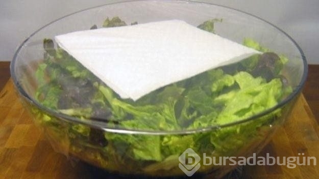 Bakış açınızı değiştirecek ilginç bilgiler