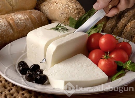 Bakış açınızı değiştirecek ilginç bilgiler