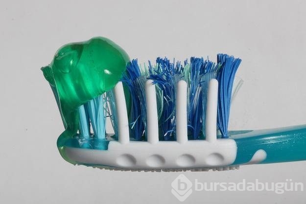 Bakış açınızı değiştirecek ilginç bilgiler