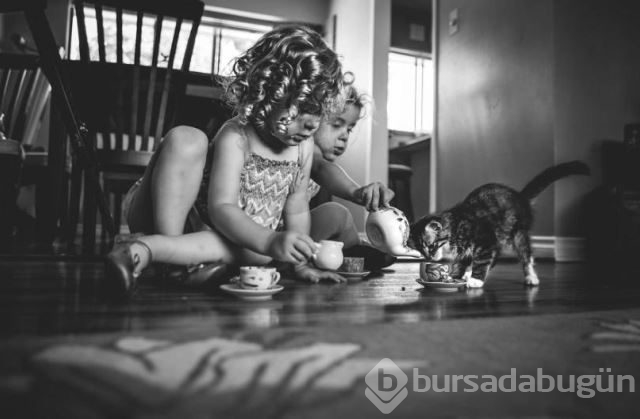 Dünya gözünden çocuklar ve hayvanlar