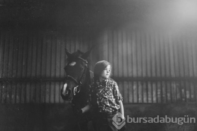 Dünya gözünden çocuklar ve hayvanlar