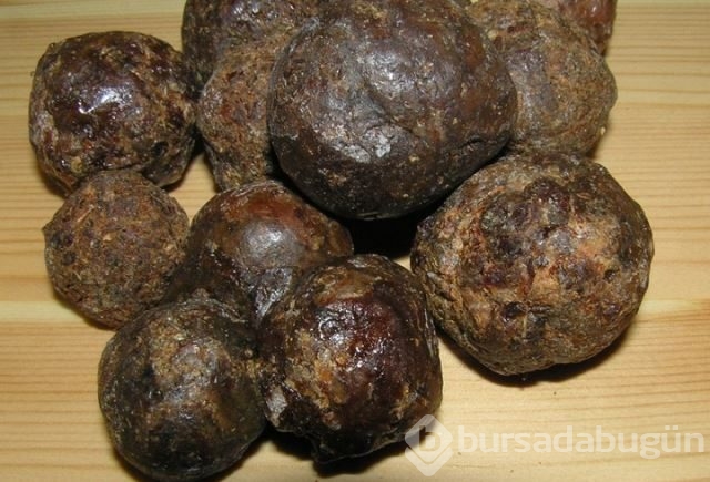 Dünyanın en güçlü antioksidan kaynağı: Propolis