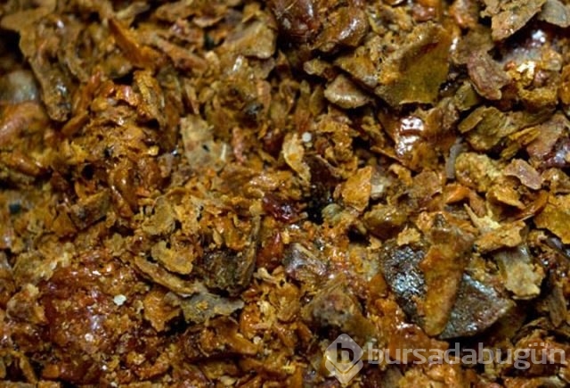 Dünyanın en güçlü antioksidan kaynağı: Propolis
