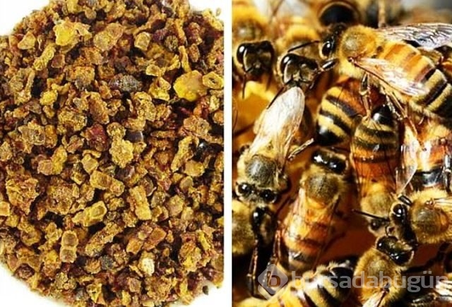 Dünyanın en güçlü antioksidan kaynağı: Propolis