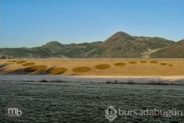 Kar, buz ve donmuş arazinin sanata dönüştüğü 10 fotoğraf