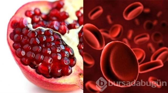 Faydalı besinler ve organlarımıza benzerlikleri