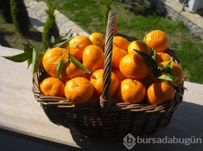 Mandalinayı böyle tüketin! Kanseri önlüyor...