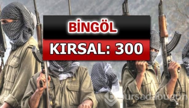 İşte PKK'lı hainlerin il il dağılımı