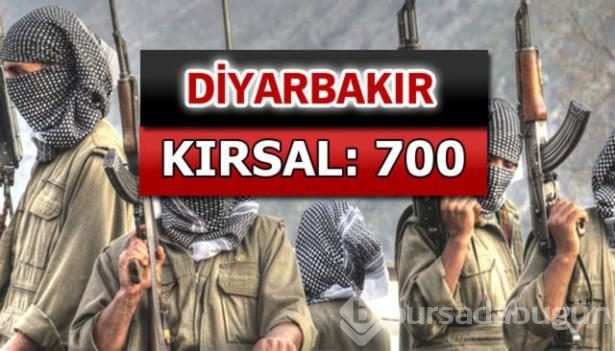 İşte PKK'lı hainlerin il il dağılımı