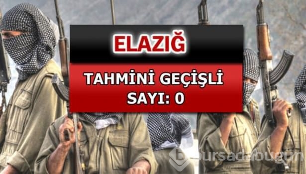 İşte PKK'lı hainlerin il il dağılımı