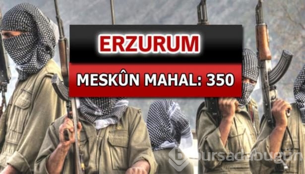 İşte PKK'lı hainlerin il il dağılımı