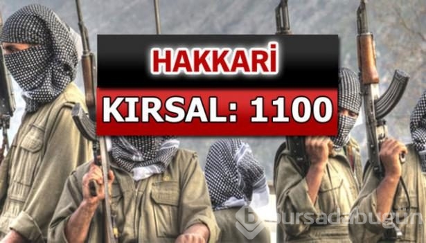 İşte PKK'lı hainlerin il il dağılımı