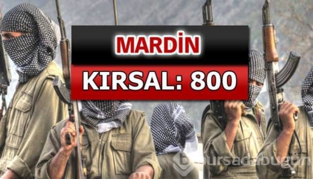 İşte PKK'lı hainlerin il il dağılımı