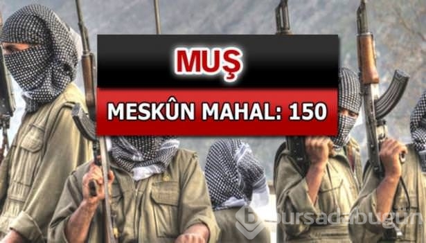 İşte PKK'lı hainlerin il il dağılımı