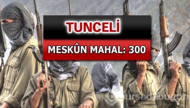 İşte PKK'lı hainlerin il il dağılımı